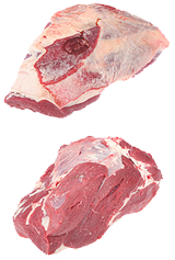 Łopatka